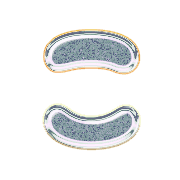 010