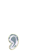 245