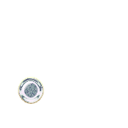 246