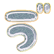 280