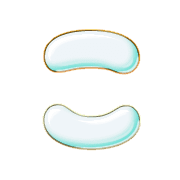 010