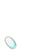 256