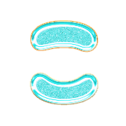 010