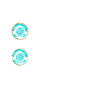 244