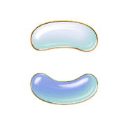 010