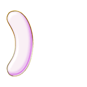 235