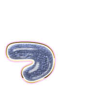 052