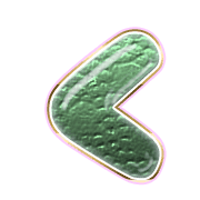 008