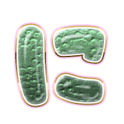 022