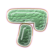 081