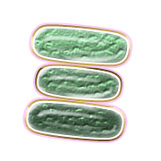 112