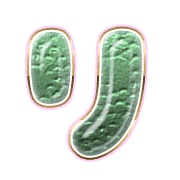 120