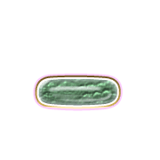 161