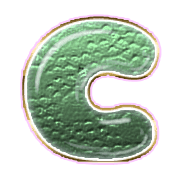 164