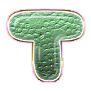 181