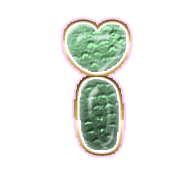 196