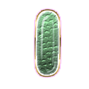 199