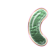 234