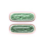 239