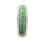 242