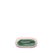 250