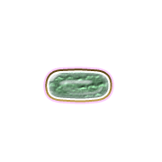 251