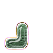 255