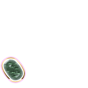 256