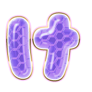 009