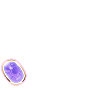 256