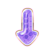 261