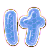 009