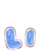 048