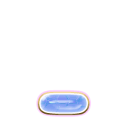 250