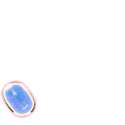 256