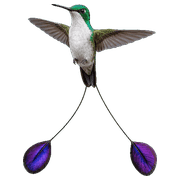 014