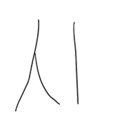 017