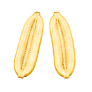 026