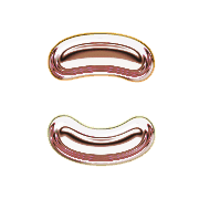 010