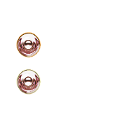 244