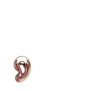 245