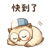 橡皮擦小貓頭鷹表情貼 20260803-11 預覽 4