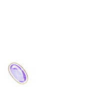 256