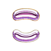 010