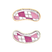 010