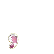 245