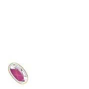 256