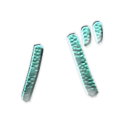 151