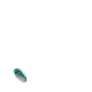 256