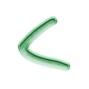 008